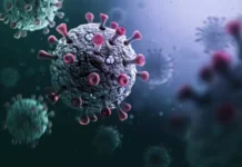 Alerta sanitaria por la súper gripe H3N2: el subclado K avanza en Sudamérica y recomiendan reforzar la vacunación en Argentina