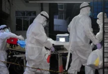 Alerta mundial por el virus Nipah: síntomas, formas de contagio y qué se sabe del brote en India sin vacuna