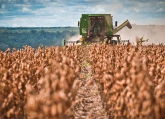 Récord histórico: Santiago del Estero aumentó un 25,4% sus exportaciones en 2025