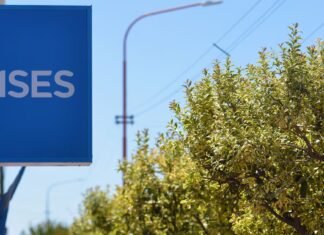 ANSES: cuándo cobro en julio 2026 si mi DNI termina en 2
