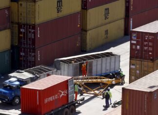 La Argentina recupera participación en el comercio mundial: proyectan que en 2035 exportará USD 180.000 millones